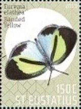 Butterflies of St Eustatius