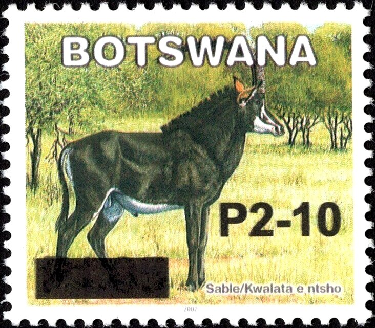 Sable Antelope (Hippotragus niger) Surcharged