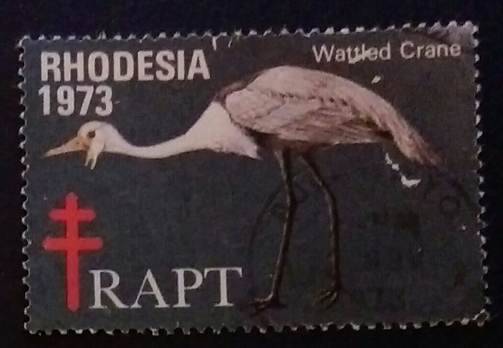 RAPT Wetland Crane