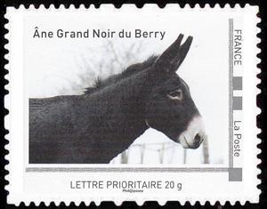 Stamp, Donkey, France,  , Animals (Fauna), Donkeys, Mammals