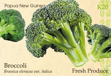 Broccoli