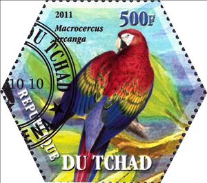 Stamp, Marcrocercus arcanga, Cinderellas,  , Animals (Fauna), Birds, Parrots