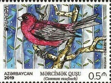 Common Rosefinch