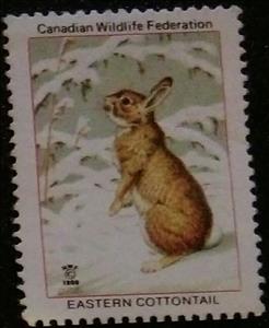 Stamp, Eastern Cottontail Rabbit, Cinderellas,  , Animals (Fauna), Charity, Mammals, Rabbits