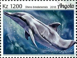Stamp, Steno bradanensis, Angola,  , Animals (Fauna), Dolphins, Mammals, Sea (Marine) Mammals, Sea Life