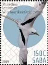 Birds of Saba