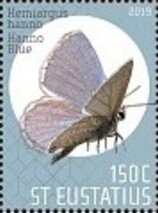 Butterflies of St Eustatius