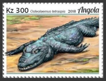 Stamp, Osteolaemus tetraspis, Angola,  , Animals (Fauna), Crocodiles, Reptiles