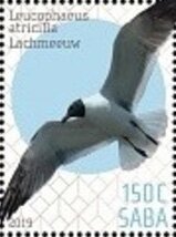 Birds of Saba
