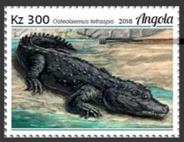Stamp, Osteolaemus tetraspis, Angola,  , Animals (Fauna), Crocodiles, Reptiles