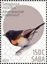 Birds of Saba
