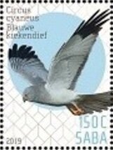 Birds of Saba