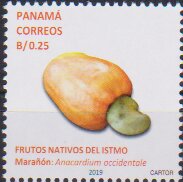 Maranon (Cashew Apple)