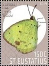 Butterflies of St Eustatius