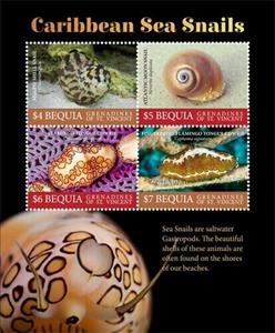 Mini Sheet, Sea Snails, Saint Vincent Grenadines,  , Animals (Fauna), Molluscs, Sea Life, Snails and Slugs