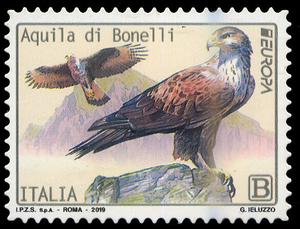 Eagle of Bonelli