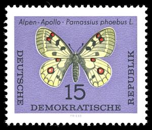 Stamp, Small Apollo (Parnassius phoebus) , Germany, Democratic Republic,  , Insects, Butterflies, Animals (Fauna)