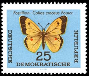 Stamp, Clouded Yellow (Colias croceus), Germany, Democratic Republic,  , Insects, Butterflies, Animals (Fauna)