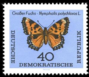 Stamp, Large Tortoisesshell (Nymphalis polychloros), Germany, Democratic Republic,  , Insects, Butterflies, Animals (Fauna)