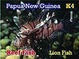 Lion Fish