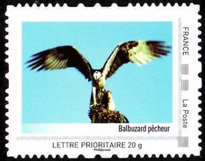 Stamp, Corsica, France,  , Animals (Fauna), Birds, Birds of Prey