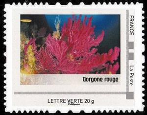 Stamp, Port-Cros, France,  , Animals (Fauna), Corals and Sponges, Sea Life