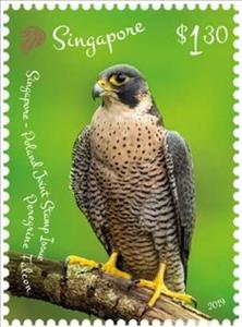 Stamp, Peregrine Falcon, Singapore,  , Birds, Falcons, Joint Issues