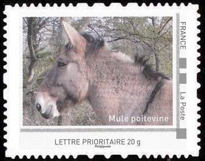 Stamp, Mule, France,  , Animals (Fauna), Donkeys, Mammals