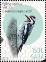Birds of Saba