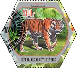 Stamp, Panthera tigris amoyensis, Cinderellas,  , Animals (Fauna), Mammals, Tigers