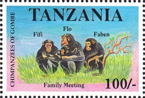 Family Meeting: Fifi, Flo, Faben