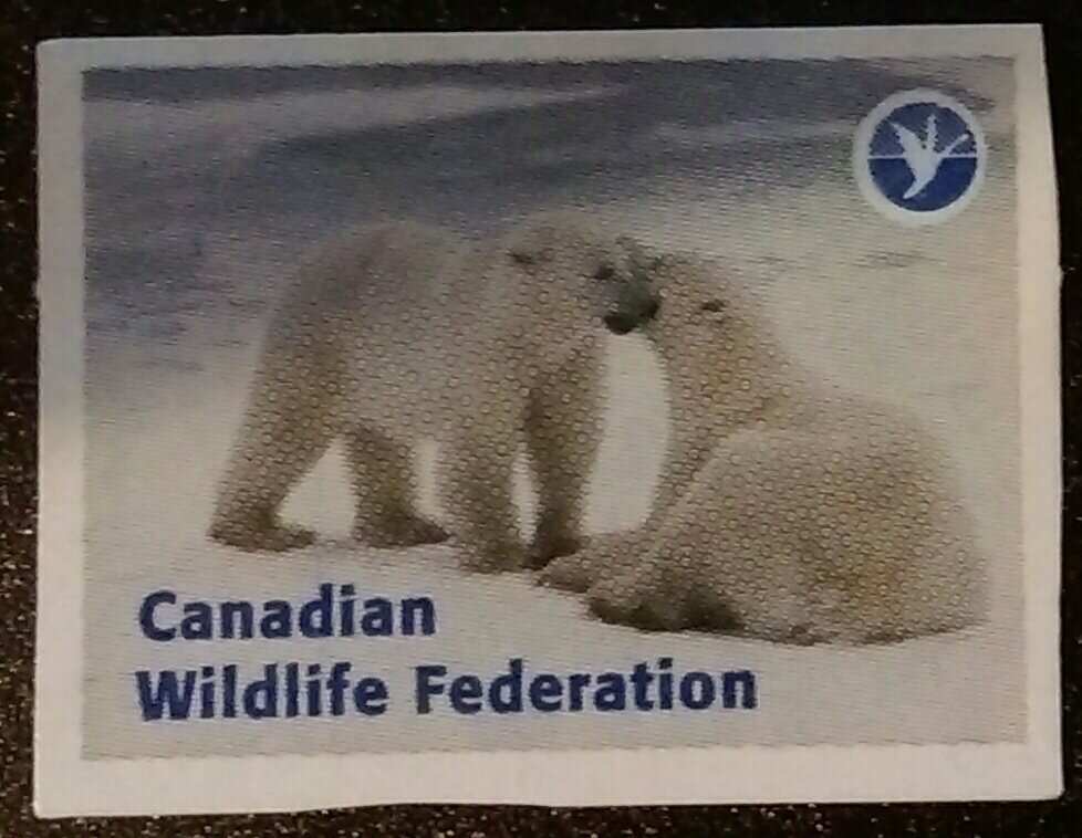 Polar Bears