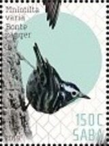 Birds of Saba