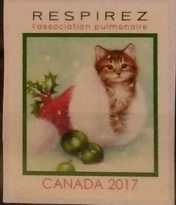 Lung Association Cat in Santas Hat. Breathe