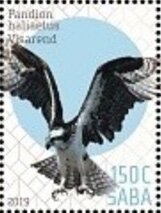 Birds of Saba