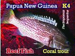 Coral Trout