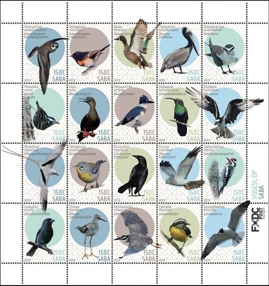 Birds of Saba