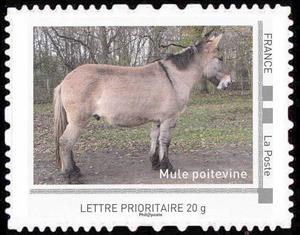 Stamp, Mule, France,  , Animals (Fauna), Donkeys, Mammals