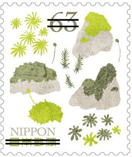 Moss