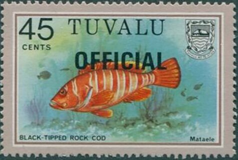 Black-tipped Grouper Overprinted OFFICIAL