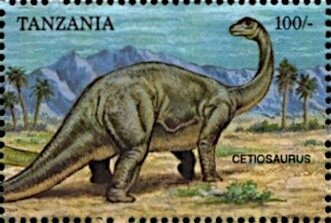 Cetiosaurus
