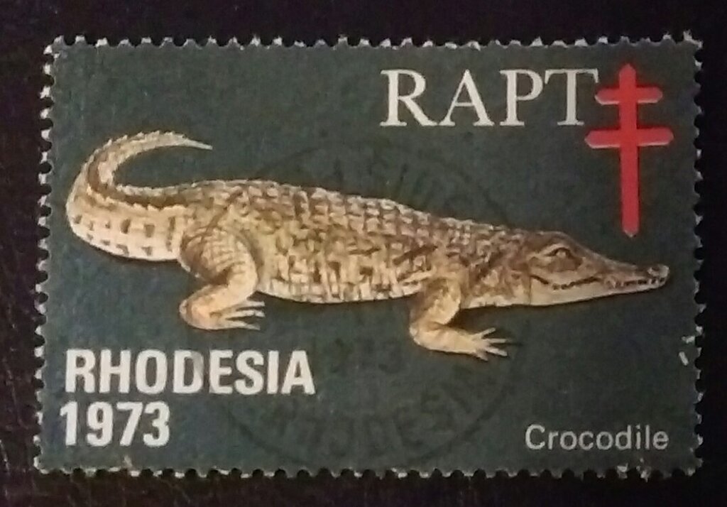 RAPT Crocodile
