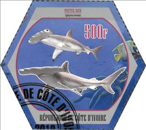 Stamp, Sphyrna lewini, Cinderellas,  , Animals (Fauna), Fishes, Sharks