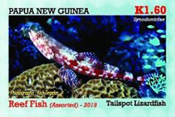 Stamp, Tailspot Lizardfish, Papua New Guinea,  , Animals (Fauna), Fishes, Sea Life