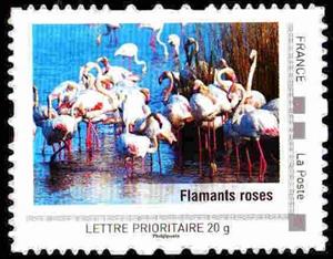 Stamp, Languedoc-Roussillon, France,  , Animals (Fauna), Birds, Flamingos