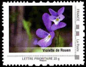 Stamp, Haute-Normandie, France,  , Flowers, Plants (Flora)