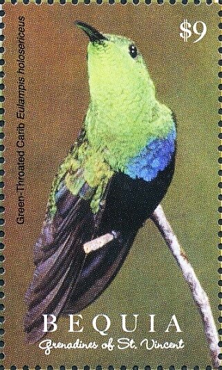Eulampis holosericeus