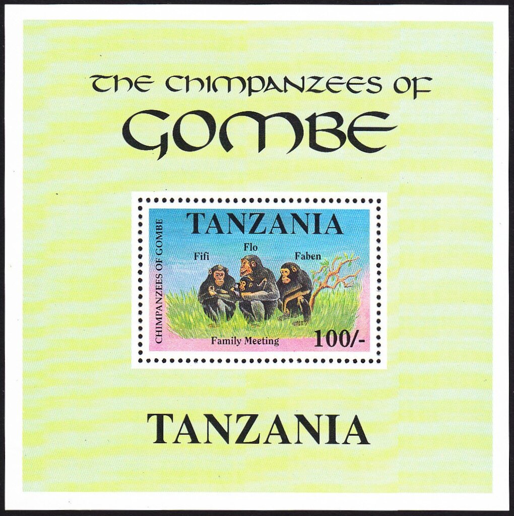 The Chimpanzees of Gombe