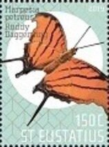 Butterflies of St Eustatius