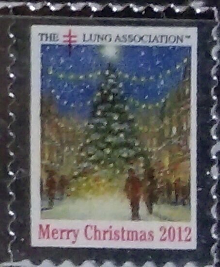 Lung Association Merry Christmas Lights
